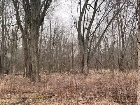 Vl Washington, Perry, MI 48872 photo 15