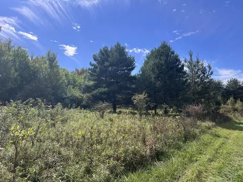Vl Washington, Perry, MI 48872 photo 13