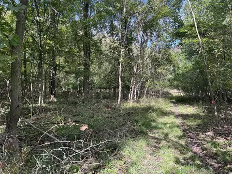 Vl Washington, Perry, MI 48872 photo 8