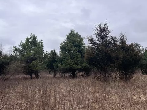 Vl Washington, Perry, MI 48872 photo 6