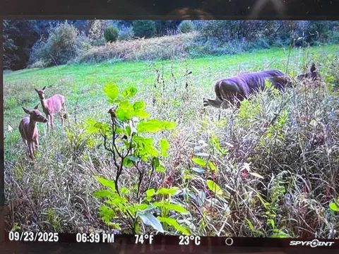 Vl Washington, Perry, MI 48872 photo 25