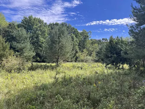 Vl Washington, Perry, MI 48872 photo 11