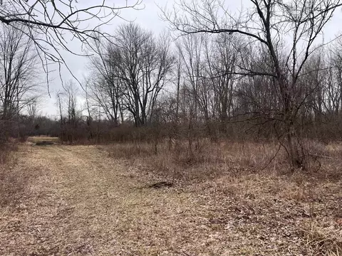 Vl Washington, Perry, MI 48872 photo 13