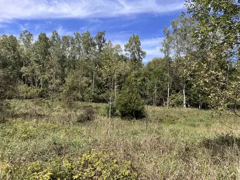 Vl Washington, Perry, MI 48872 photo 5