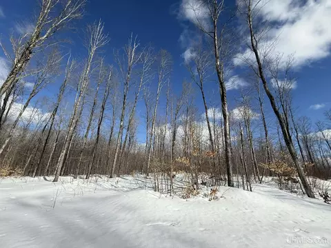 Camp 23, Germfask, MI 49836 photo 10