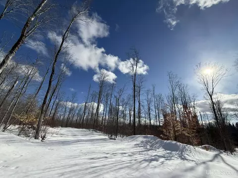 Camp 23, Germfask, MI 49836 photo 7