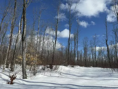 Camp 23, Germfask, MI 49836 photo 11