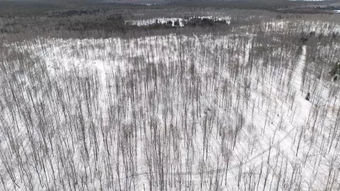 Camp 23, Germfask, MI 49836 photo 14