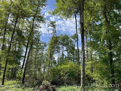 Camp 23, Germfask, MI 49836 photo 5