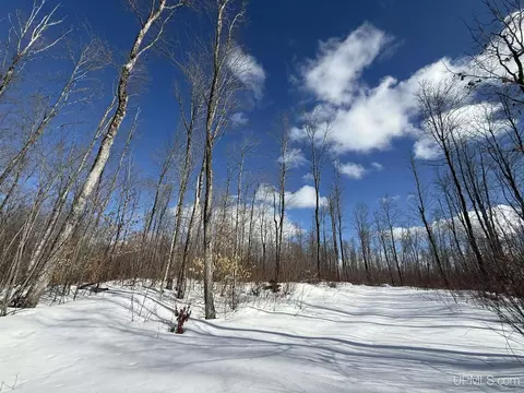 Camp 23, Germfask, MI 49836 photo 9