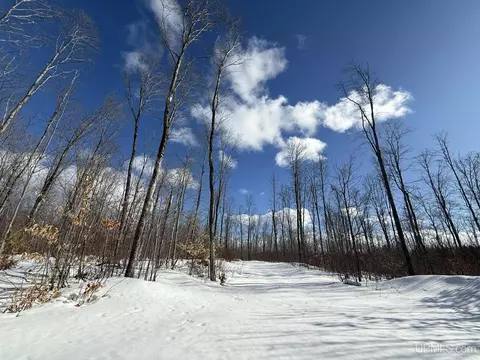 Camp 23, Germfask, MI 49836 photo 8