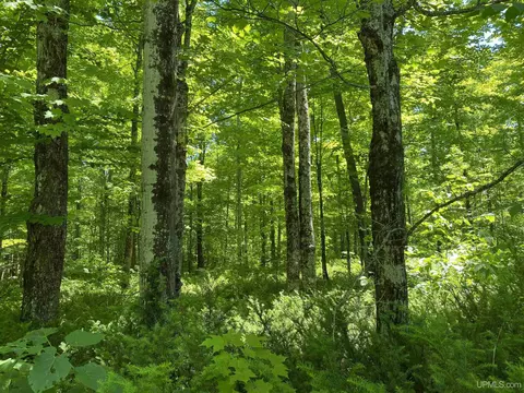 Off Niemi, Ironwood, MI 49938