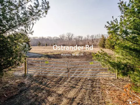 13343 Ostrander, Maybee, MI 48159
