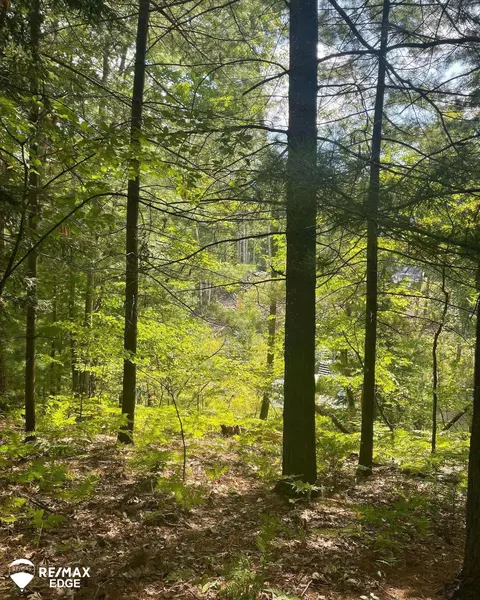 0 Eagle Nest, Alger, MI 48610