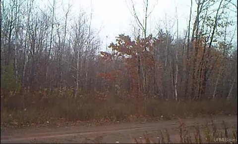 tbd 23 Ac Water, Negaunee, MI 49866