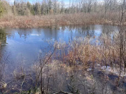 View/Area - 10258 Anger, Harrison, MI 48625 photo 2 of 2
