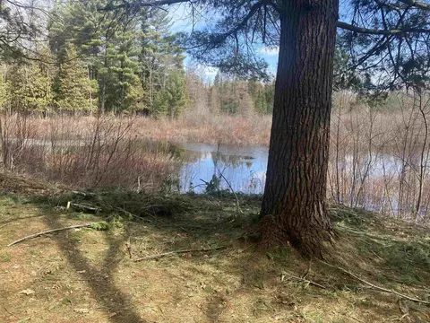 View/Area - 10258 Anger, Harrison, MI 48625 photo 1 of 2