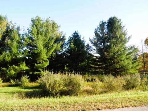 5458 Wellington, Gladwin, MI 48624 photo 8