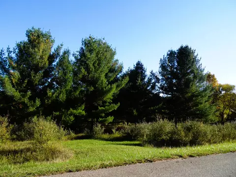 5458 Wellington, Gladwin, MI 48624 photo 5
