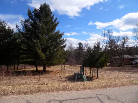 5458 Wellington, Gladwin, MI 48624 photo 7