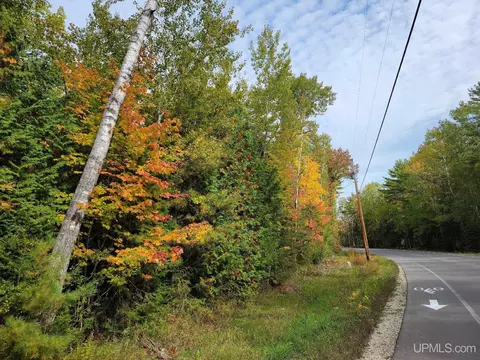 tbd Co Rd 441, Manistique, MI 49854