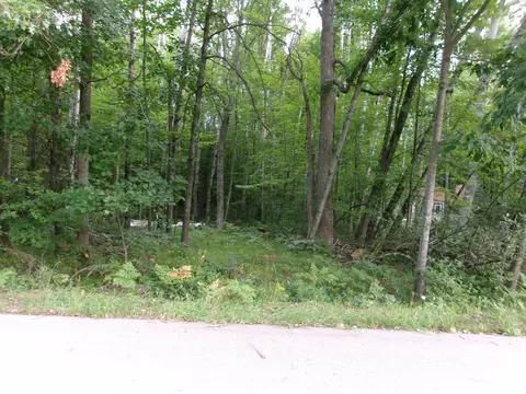 Nhn Shadowbrook, Lake, MI 48632