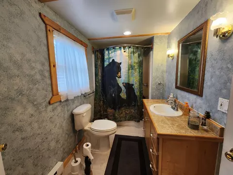 Bath - 390 Pine, Harrison, MI 48625 photo 1 of 1