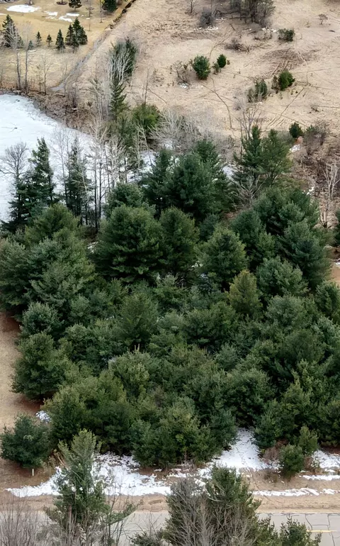 lot20 Queens, Gladwin, MI 48624