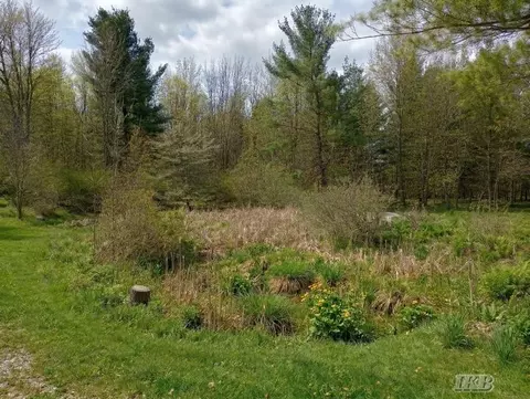 2735 Sugar Riv, Gladwin, MI 48624 photo 6