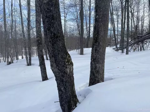 tbd S Lot 24 S Whealkate, South Range, MI 49963