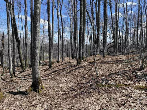 tbd S Lot 29 S Whealkate, South Range, MI 49963