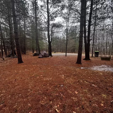 5316 Archers, Gladwin, MI 48624 photo 5