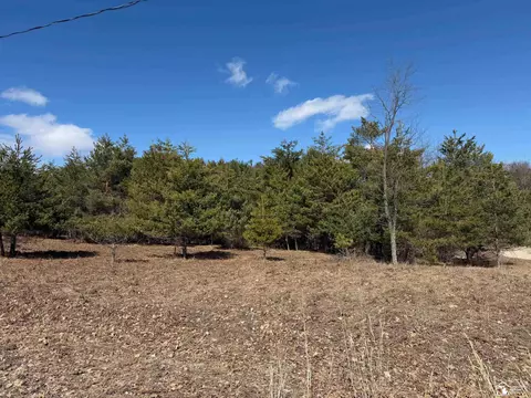 Vl Lot 184 Chippewa Trail, Evart, MI 49631