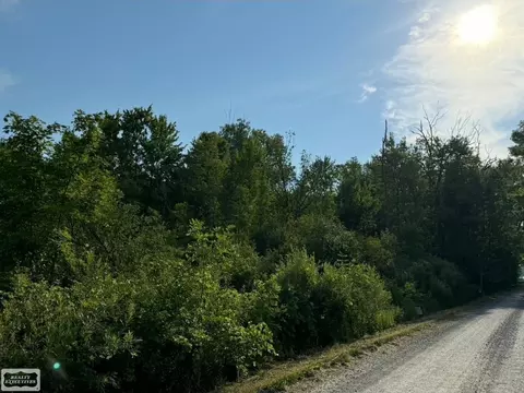 Sullivan, Emmett, MI 48022 photo 2