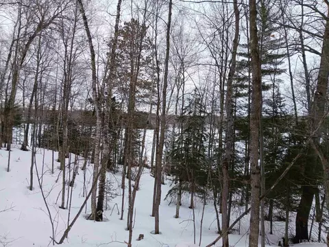 lot1 County Line Lk #CO RD 602/SUCKER LAKE ROAD, Watersmeet, MI 49969