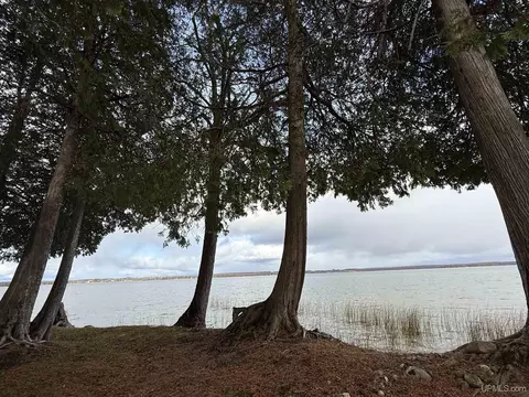 View/Area - 18919 W Needle Pointe, Germfask, MI 49836 photo 2 of 3