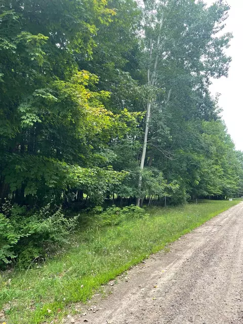0000 Beech Frst, Addison Twp, MI 48337 photo 2