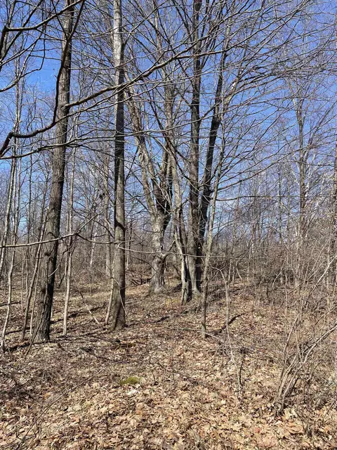 tbd Rock, Clare, MI 48617