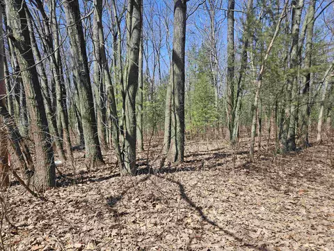 Parcel C Coleman, Harrison, MI 48625 photo 2