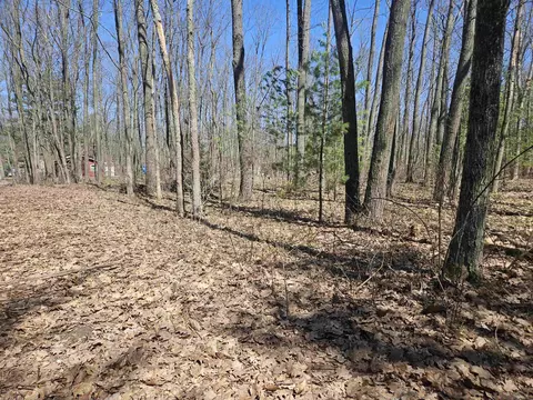 Parcel G Farwell, Harrison, MI 48625