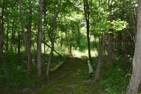 2019 Huntington, Gladwin, MI 48624 photo 34