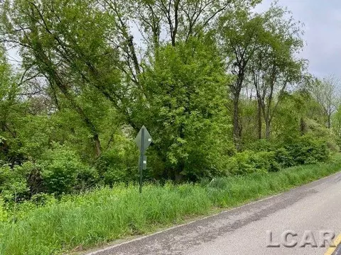 8000 Blk Lot 9 Stephenson, Onsted, MI 49265
