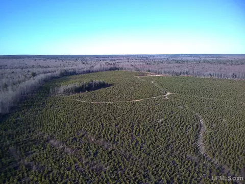 tbd Parcel 2 16 Mile Lk, Au Train, MI 49806