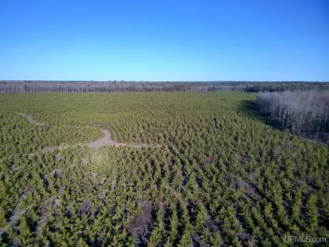tbd Parcel 3 16 Mile Lk, Au Train, MI 49806