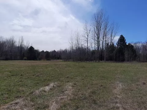 Vl State, Vassar, MI 48768 photo 2