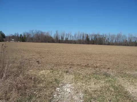 lot4 Beard Rd, Avoca, MI 48006 photo 2