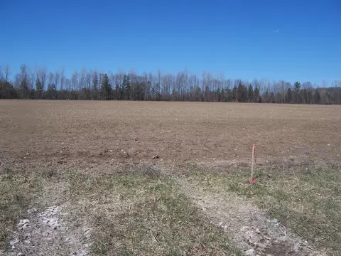 lot4 Beard Rd, Avoca, MI 48006