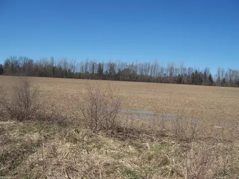 lot3 Beard Rd, Avoca, MI 48006 photo 2