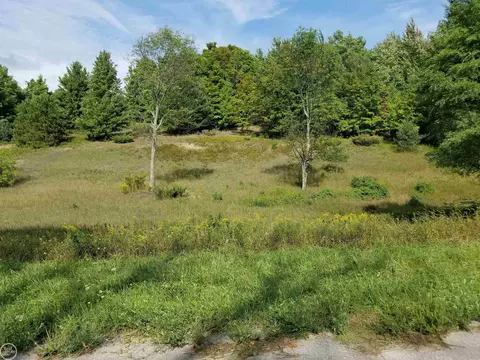 S Fritz, Maple City, MI 49664