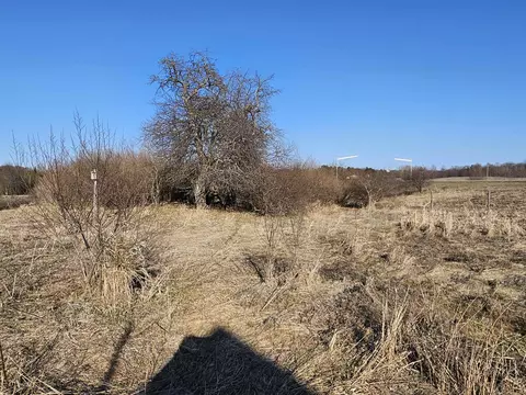 Exterior - 2100 W Temple, Harrison, MI 48625 photo 5 of 9